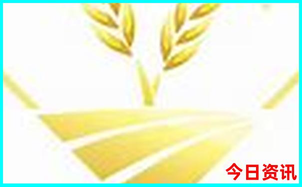 成都适合青少年玩的地方有哪些